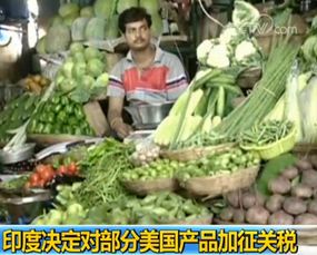 印度對美反制關稅升級 聚焦農產品與鋼鐵制品的戰略意涵