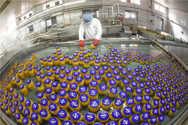“土特產”變身“金疙瘩” 遵化以農產品深加工助力鄉村振興與農民增收